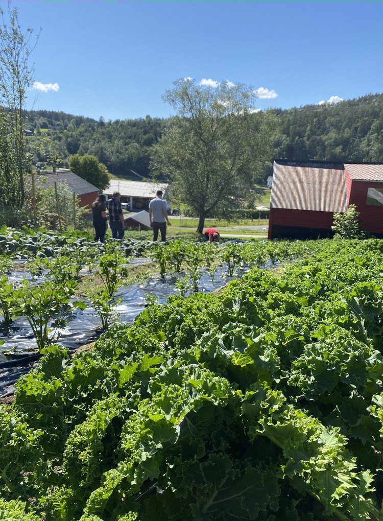 Foto: Lokalmatringen