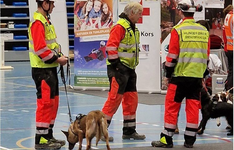 Sprengstoff ettersøkshund
